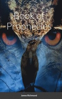 bokomslag Book of Prophecies