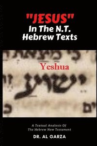bokomslag 'Jesus' In The N.T. Hebrew Texts: A Textual Analysis of the New Testament Hebrew (Black and White Photos)