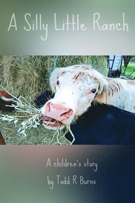 bokomslag A Silly Little Ranch: A Children's story