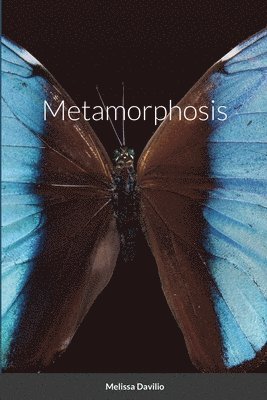 Metamorphosis 1