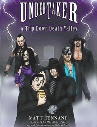 bokomslag Undertaker