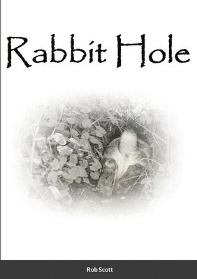 Rob Scott - Rabbit Hole, Häftad