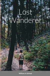 bokomslag Lost wanderer