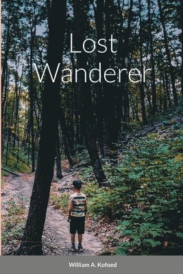 bokomslag Lost wanderer