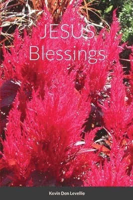 JESUS Blessings 1