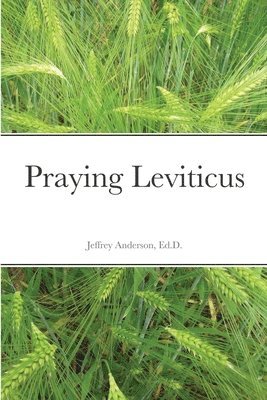 Jeffrey Anderson - Praying Leviticus, Häftad