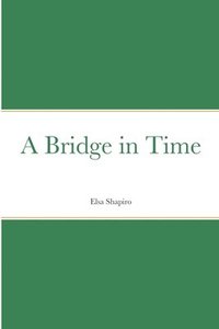 bokomslag Bridge in Time