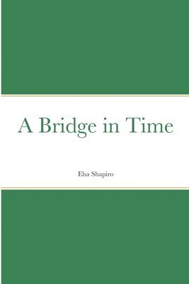bokomslag Bridge in Time