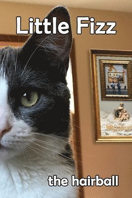 Hairy Rutherford - Little Fizz, Häftad