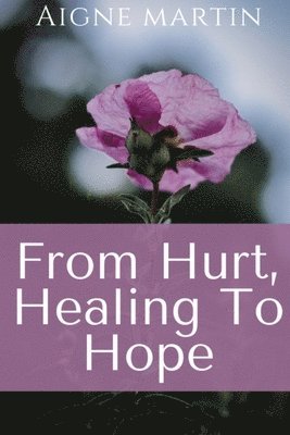 bokomslag From Hurt, Healing to Hope