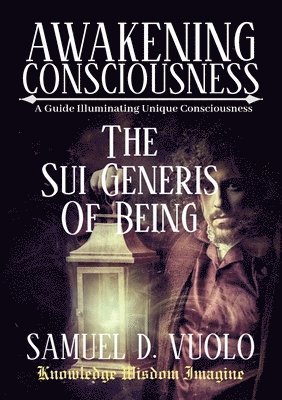 bokomslag Awakening Consciousness