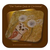 bokomslag The Twelve Owls of Christmas