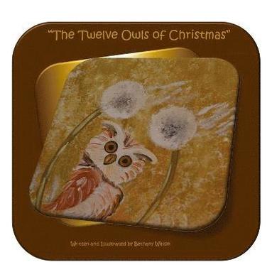 bokomslag Twelve Owls of Christmas