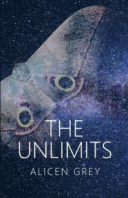 bokomslag The Unlimits