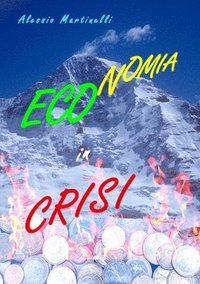 bokomslag Economia in crisi