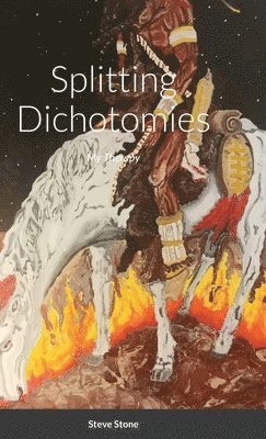 Steve Stone - Splitting Dichotomies, Inbunden