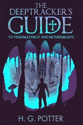 Harry Potter - DeepTracker's Guide, Häftad