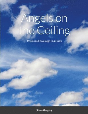 Stephen Gregory - Angels on the Ceiling, Häftad