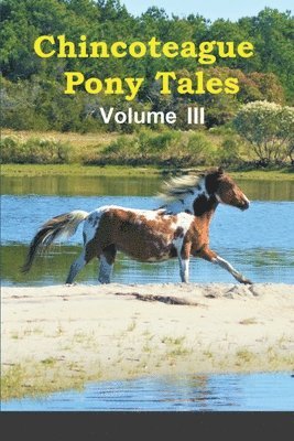 bokomslag Chincoteague Pony Tales