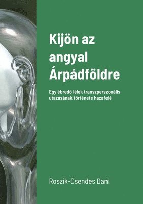 Dani Roszik-Csendes - Kijön az angyal Árpádföldre, Häftad