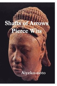 bokomslag Shafts of Arrows Pierce Wits