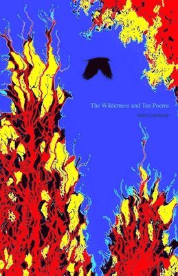 bokomslag Wilderness and Tea Poems