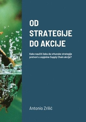 bokomslag Od Strategije Do Akcije