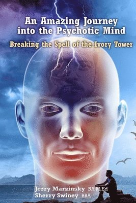 bokomslag Amazing Journey Into the Psychotic Mind - Breaking the Spell of the Ivory Tower