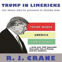 bokomslag Trump In Limericks