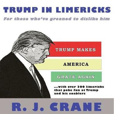 bokomslag Trump In Limericks