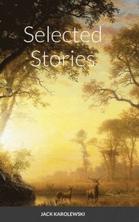 bokomslag Selected Stories