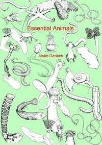 bokomslag Essential Animals