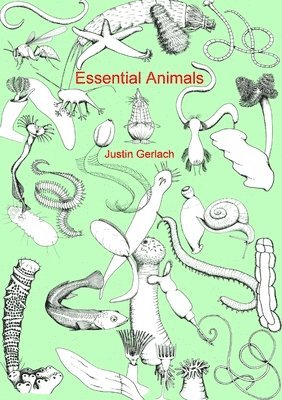 Essential Animals 1