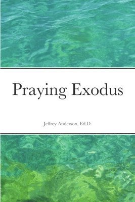 Jeffrey Anderson - Praying Exodus, Häftad