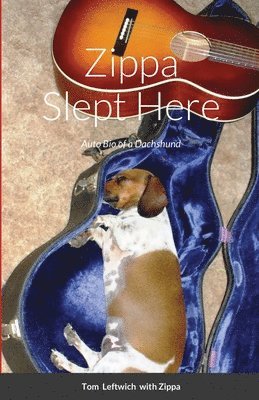 Zippa Slept Here 1