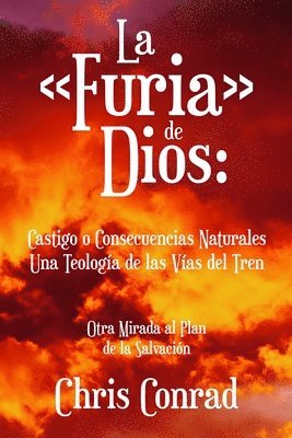 bokomslag La Furia de Dios