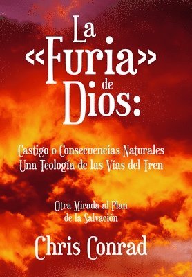 bokomslag La Furia de Dios