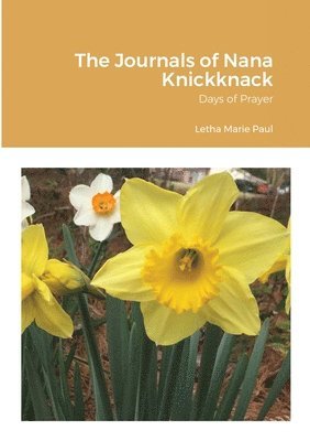 bokomslag The Journals of Nana Knickknack, Volume 4