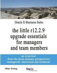 bokomslag Oracle E-Business Suite