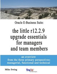bokomslag Oracle E-Business Suite