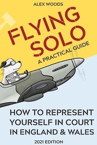 bokomslag Flying Solo