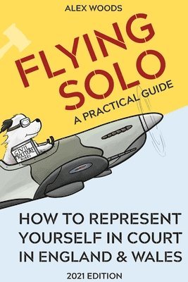 Flying Solo 1