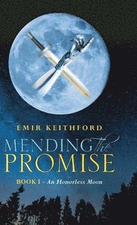 bokomslag Mending the Promise