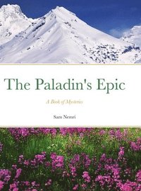 bokomslag Paladin's Epic