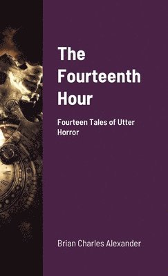 bokomslag Fourteenth Hour