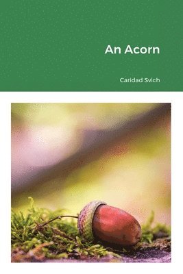 An Acorn 1