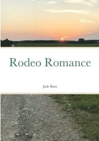 bokomslag Rodeo Romance