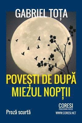 bokomslag Povesti de Dupa Miezul Noptii: Proza Scurta