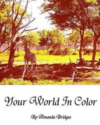 bokomslag Your World In Color