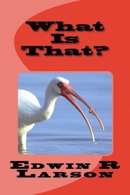 bokomslag What Is That?: The Ninth Convolution